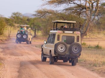 Safari Vehicle